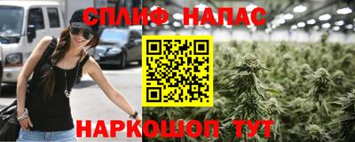 прущие грибы Северобайкальск